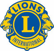 mercer lions