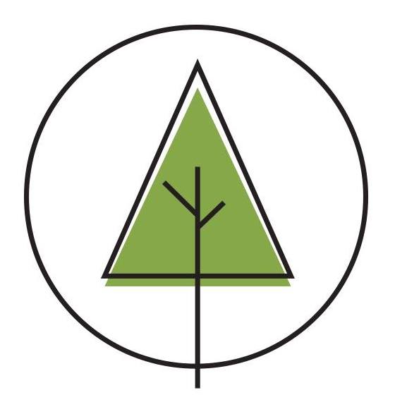 pines (1)
